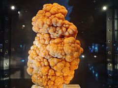 -中国地质大学逸夫博物馆