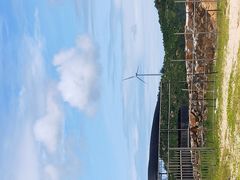 -汕尾风车岛