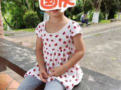 -美的鹭湖探索王国