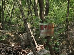 -濂泉响谷