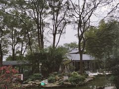 -南山植物园