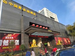-中国黄金(北京旗舰店)