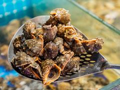 -海韵之星邮轮水会(明发商业广场店)