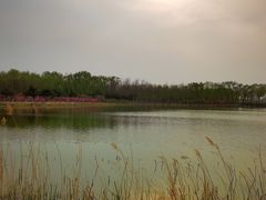 -大兴滨河森林公园