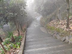 -九皇山景区