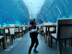 -海棠湾洲际-涛·海底餐厅·美人鱼·自助餐·海底隧道