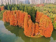 -中国科学院华南植物园