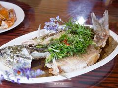 餐饮设施-盈香心动乐园