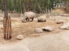-北京野生动物园