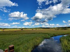 -塞罕坝国家级自然保护区