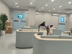 -上海大学附属上海和平眼科医院