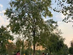 -沙河三洞古桥公园