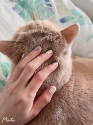 -Beauty Nails 美甲美睫皮肤管理