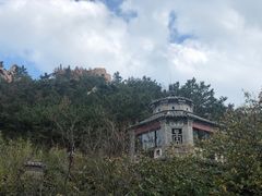 -老张烤羊(王哥庄店)