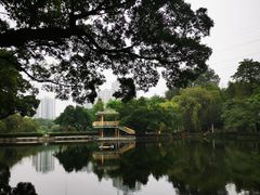 -晓港公园