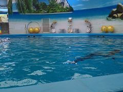 -尼莫海豚馆