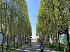 -香山公园