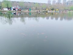 -前关湿地公园