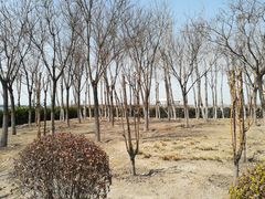 -东疆建设开发纪念公园