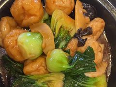 -新雅粤菜馆(南京东路店)