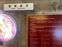 -青岛葡萄酒博物馆