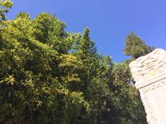 iphone_upload_pic-圆通禅寺