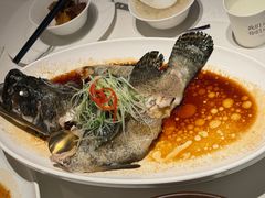 清蒸石斑鱼-南棠馆粤菜坊(群光店)