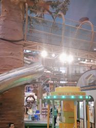 -卡通尼·Safari非洲探索乐园·生日会(金桥国际商业广场店)