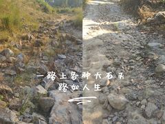 -黄埔油麻山森林公园