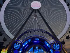 -海合安武汉极地海洋公园