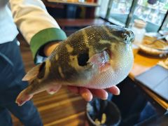 -永安鱼庄·镇江菜(丁卯店)