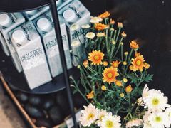 -Home Cafe(水榭春天店)