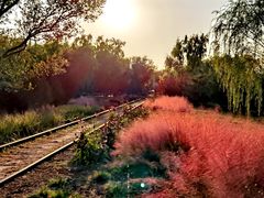 -永定河休闲森林公园