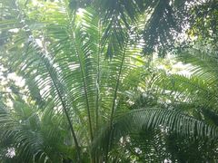 小鱼温泉-三亚珠江南田温泉度假区