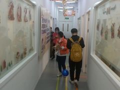 -斯坦星球AI编程·机器人科创·科学实验·信奥·思维·STEM·乐高·竞赛考级(长宁虹桥大融城荟聚中心)