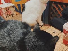 -么么咖啡(燕郊店)