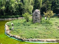 -杭州野生动物世界