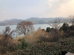 -天目湖涵田半山温泉