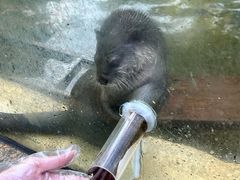 -灵玲国际马戏城