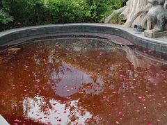 -太白山御龙湾温泉