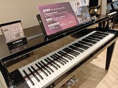 -雅歌音乐培训中心·钢琴培训·乐器培训(交道口店)