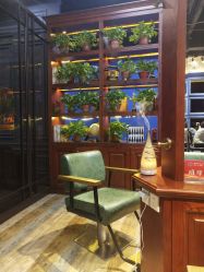 -东晨宝格丽品质造型