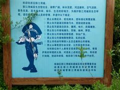 -新江湾城公园