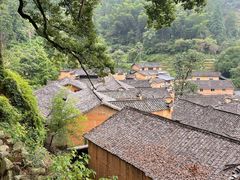 -杨家堂村