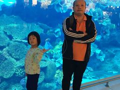 -迪拜水族馆及水下动物园