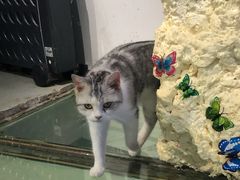 -极木²邸 人与宠物·互动社区