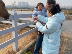 -汉长安城未央宫国家考古遗址公园