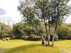 -桃花岛景观公园