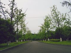 -铁山坪森林公园