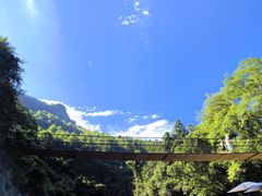 -石台牯牛降景区